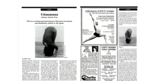 Struggling in Standing Forward Bend? Stop Blaming Your Tight Hamstrings.