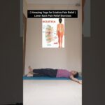 3 Amazing Yoga for Sciatica Pain Relief | Lower Back Pain Relief Exercises | Sciatica Pain #yoga #yt