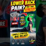 😱Lower Back Pain Ka Simple Stretch 🔥 Try Now!#shorts #short #shortsviral #lowerbackpain #backpain
