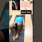 Back Pain Relief Yoga | पीठ दर्द के लिए यह आसन 💯 #yoga #shorts #relief #backpain