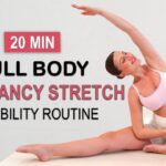 20 Min PREGNANCY FLEXIBILITY + STRETCHING ROUTINE | All Trimesters, No Talking | Beginner Friendly