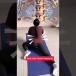 🔥Back Pain Relief at Home🏠 #shorts