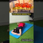 2 Stretches for Lower Back Pain Relief 🧘♀️#LowerBackPain #BackPainRelief #Stretching #Yoga #shorts