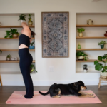 Spinal Twists in Yoga: 15-Minute Gentle Practice
