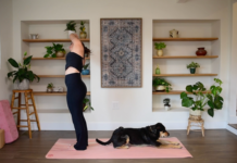 Spinal Twists in Yoga: 15-Minute Gentle Practice