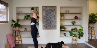 Spinal Twists in Yoga: 15-Minute Gentle Practice