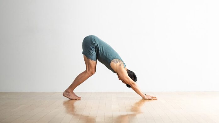 Downward-Facing-Dog-Pose_Mod-1_Andrew-Clark_2400x1350.jpeg
