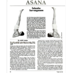 This Classic Yoga Pose Remains the Ultimate Reset. Here’s Why.
