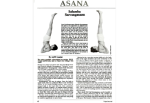 This Classic Yoga Pose Remains the Ultimate Reset. Here’s Why.